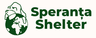 Competitor 1 logo