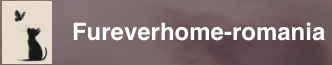 Competitor 2 logo