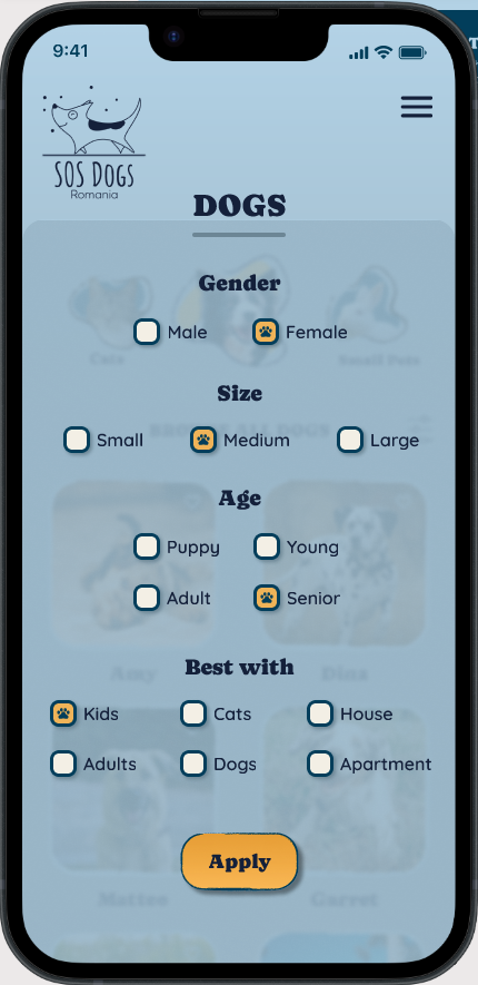 Prototype screen 3